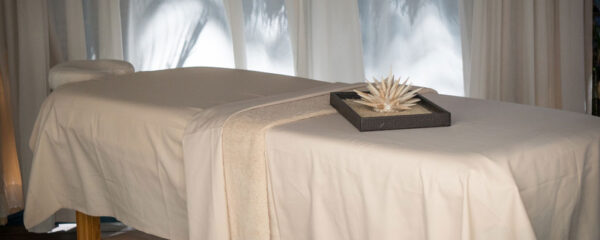 table de massage électrique professionnelle.png