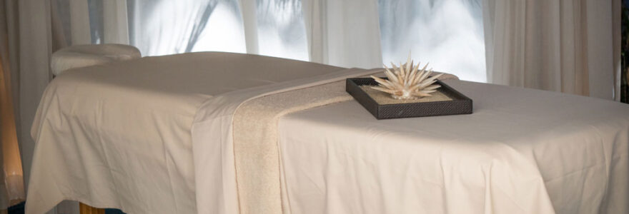 table de massage électrique professionnelle.png